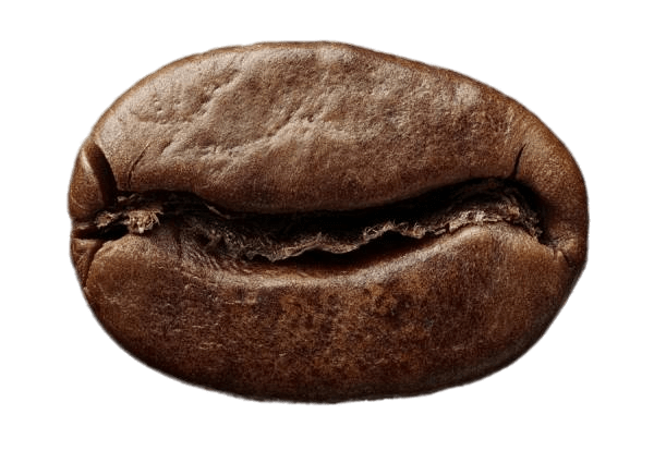 Grano de café tostado de especialidad